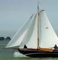 Jan Haring race